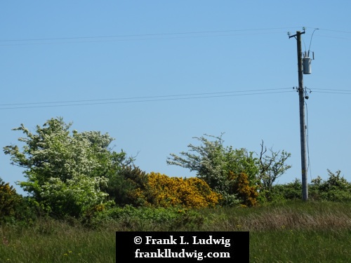 Around Lough Nasool